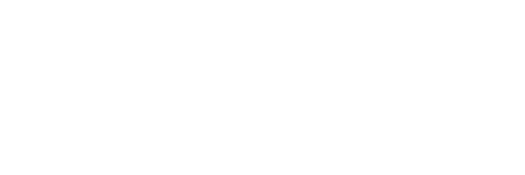 Reflection Bay logo white