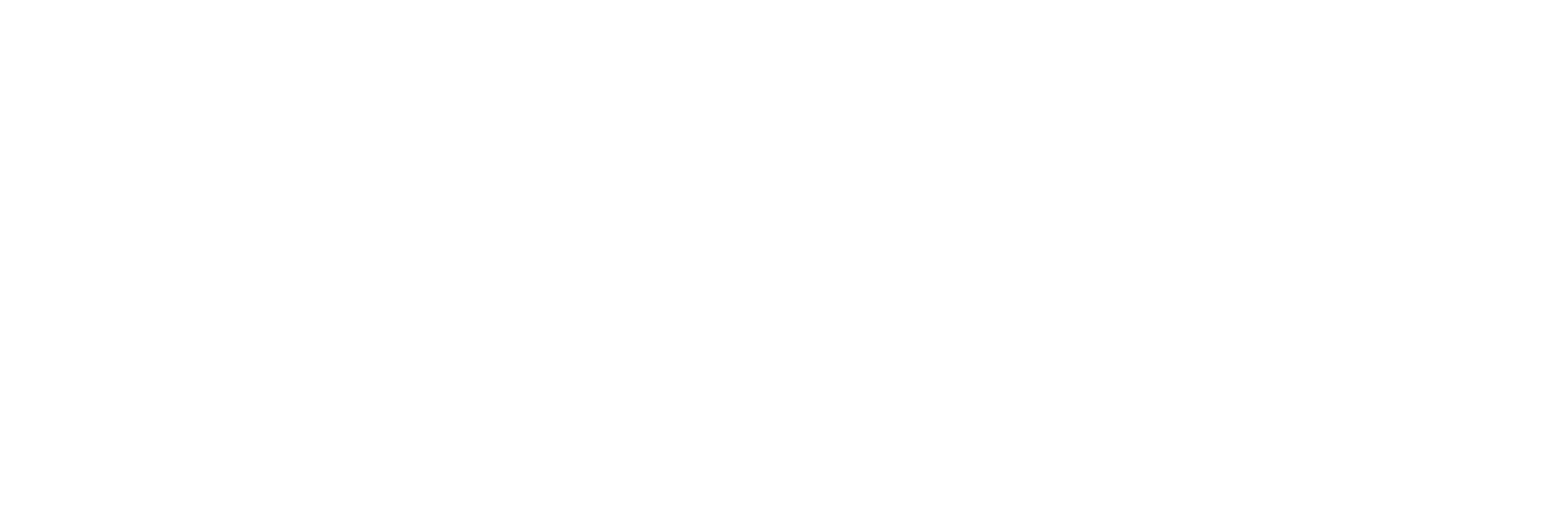 Reflection Bay logo white